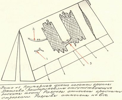 F1pD410x336.jpg