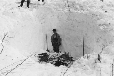 Фото настила в овраге, май 1959г
